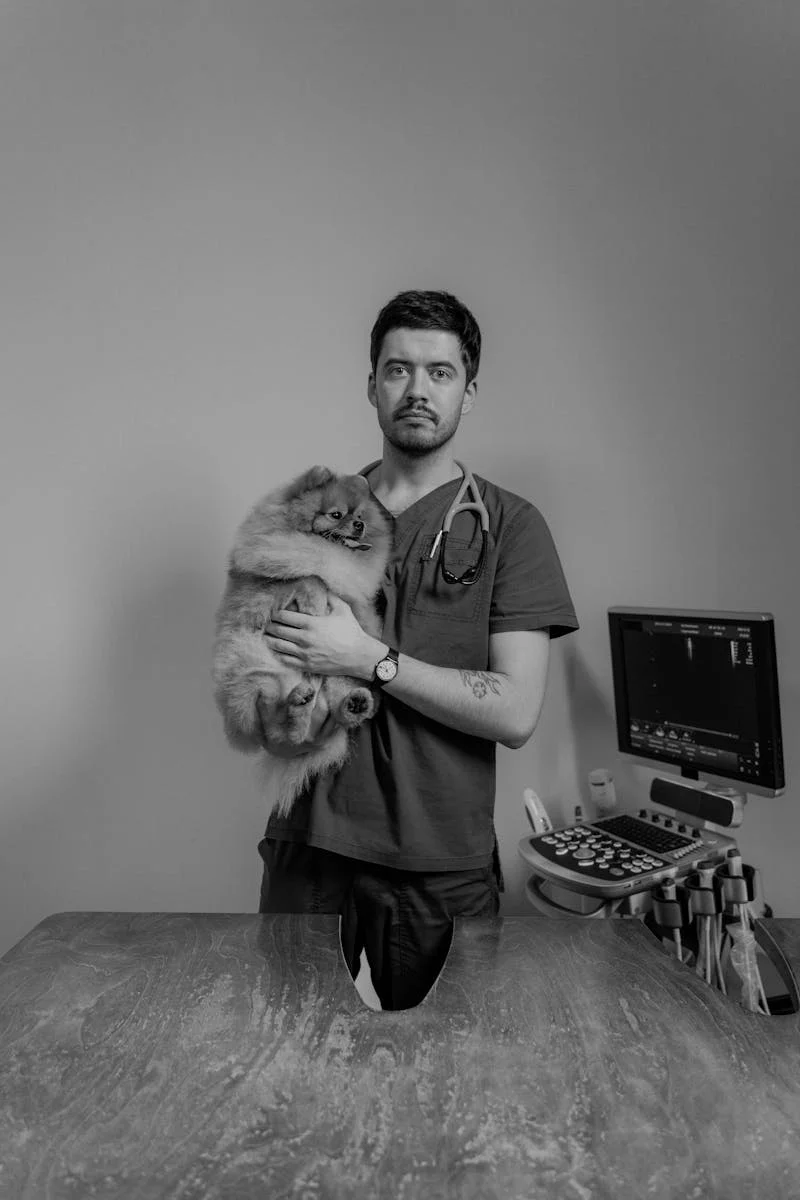 CLÍNICA VETERINÁRIA DR. PEDRO DE SOUZA LIMA - equipe