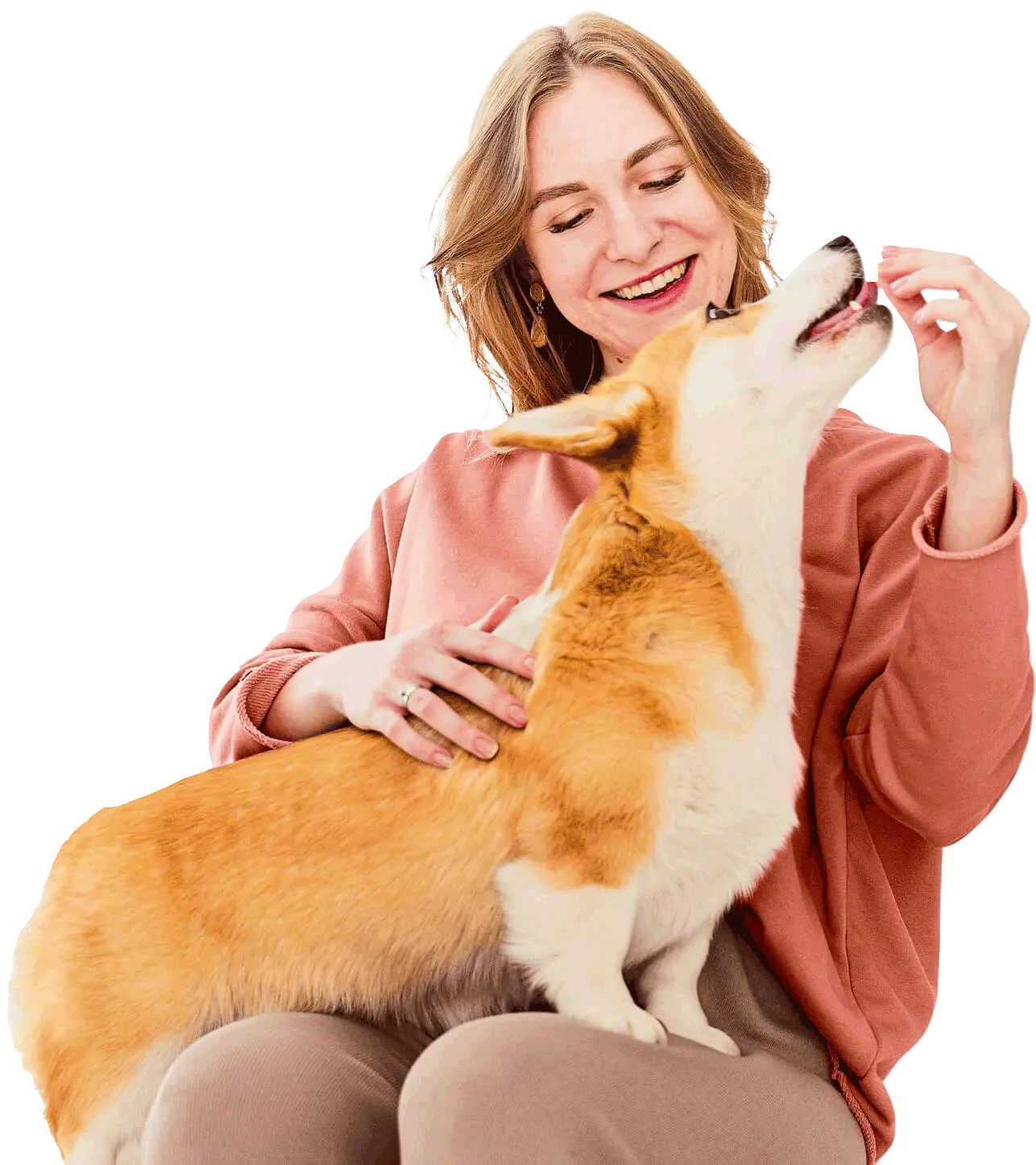 CLÍNICA VETERINÁRIA DR. PEDRO DE SOUZA LIMA